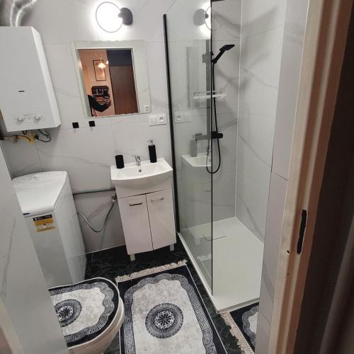 a bathroom with a shower and a toilet and a sink at Apartament 22 Stycznia 3 in Przemyśl