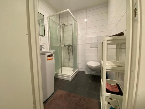 uma casa de banho com um WC e uma cabina de duche em vidro. em Your Dream Studio in Bergen em Bergen