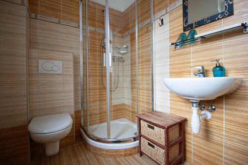 y baño con ducha, lavabo y aseo. en Penzion Anebel en Luhačovice