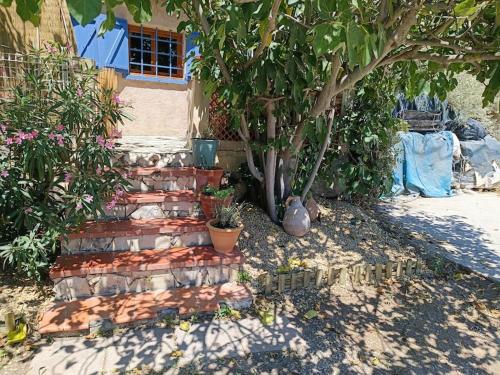 Κήπος έξω από το "La Cabane de Thau" avec vue imprenable sur Sète