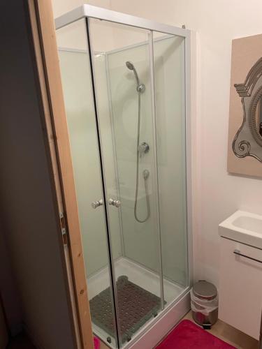 y baño con ducha y puerta de cristal. en Maison T 1 meublé confort proche aéroport, en Pusignan