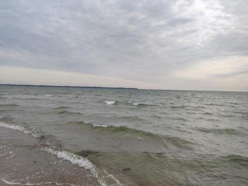 a large body of water with a beach with waves at Wohnung am Wanderweg zum Königsstuhl unter Reet in Lohme