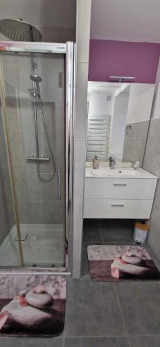 a bathroom with a shower and a sink at Gîte du Rocher des Commères in Sirod