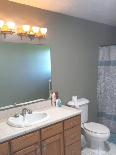 a bathroom with a sink and a toilet and a mirror at Tug Hill Paradise, Copenhagen, NY in Copenhagen