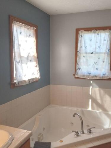 a bathroom with a bath tub and a window at Tug Hill Paradise, Copenhagen, NY in Copenhagen