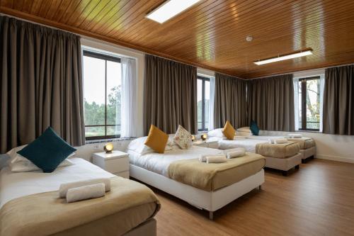 two beds in a room with windows at Guest House A Loja do Cantoneiro in Albergaria-a-Velha