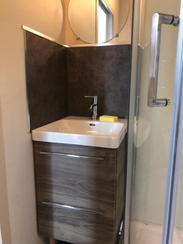 une salle de bain avec un lavabo et une douche avec un miroir dans l'établissement Au Jardin d’AnneSo, à Limoges