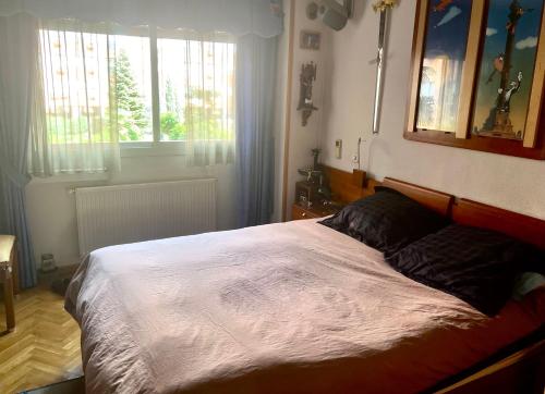 ein Schlafzimmer mit einem großen Bett in einem Zimmer in der Unterkunft Suite del Manzanares en Madrid in Madrid
