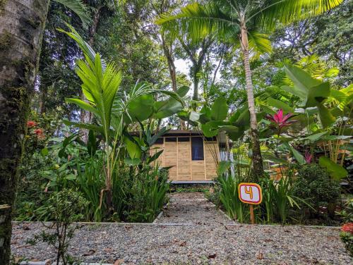a small house in the middle of a forest at Arboura Eco Cabins in Uvita