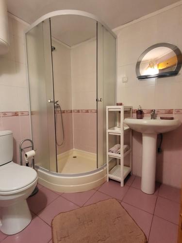 a bathroom with a shower and a toilet and a sink at Fortuna in Lazeshchyna