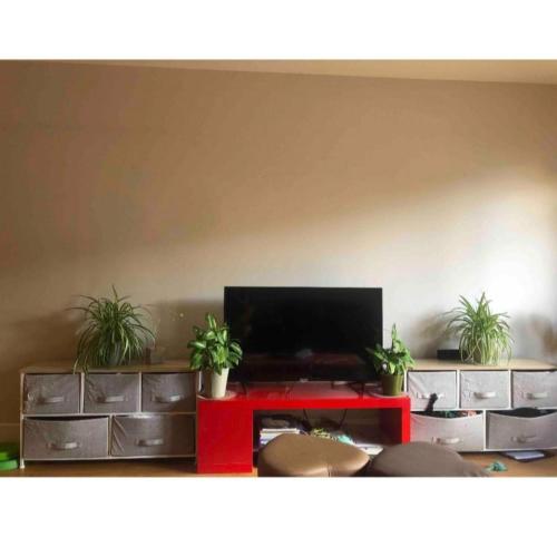 Μια τηλεόραση ή/και κέντρο ψυχαγωγίας στο Luxury King Room Chiswick West London