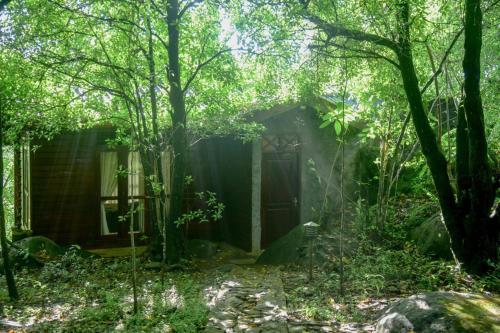 a small cabin in the woods with trees at Sinharaja Rest in Deniyaya