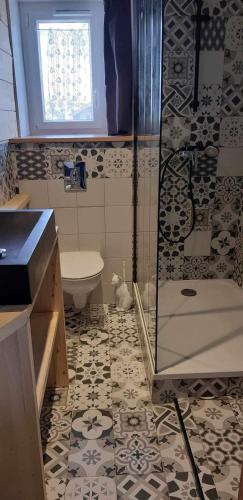 une salle de bain avec douche et toilettes dans l'établissement Appartement 1er étage duplex, à Briançon