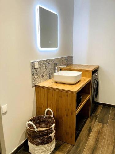 une salle de bain avec un lavabo et une machine à laver dans l'établissement Cottage Sainte Marguerite, à Gap