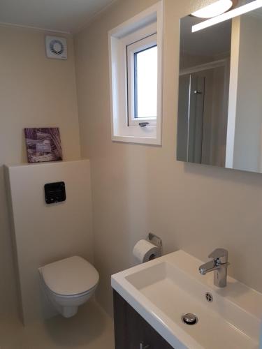 ein Badezimmer mit einem WC, einem Waschbecken und einem Spiegel in der Unterkunft Olmenduin Chalet Veere Zeeland in Serooskerke