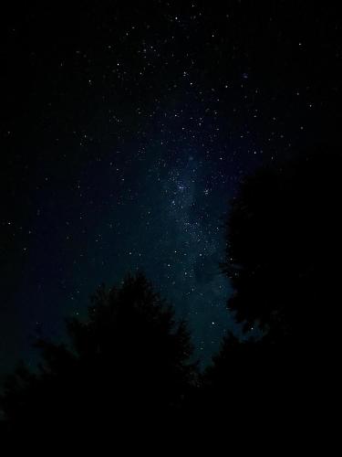 a starry night with a tree in the foreground at Cabaña frente al Lago Lanalhue in Lago Lanalhue