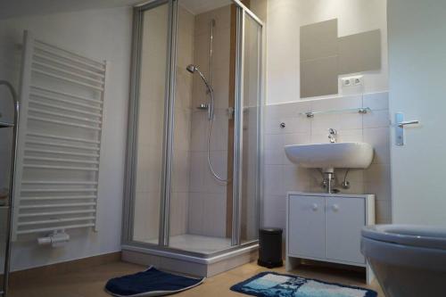 ein Bad mit einer Dusche und einem Waschbecken in der Unterkunft Apartment Gars am Inn in Gars am Inn