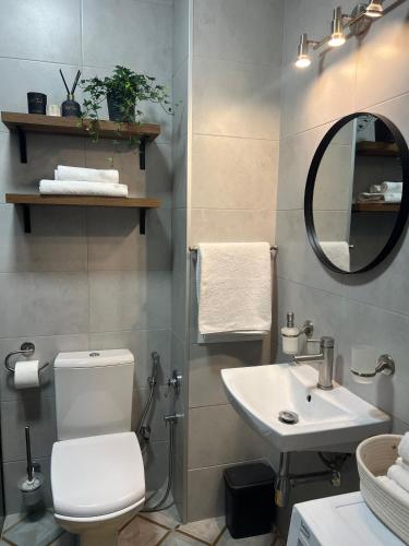 a bathroom with a toilet and a sink and a mirror at Fiesta Apartment on Franka 2BR-6P in Lviv
