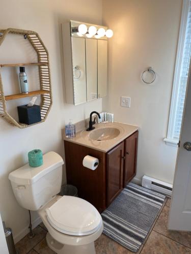 uma casa de banho com um WC, um lavatório e um espelho. em Central Lake Placid Mountain Views em Lake Placid