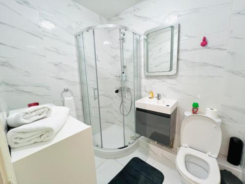 e bagno con doccia, servizi igienici e lavandino. di Luxury Flat at Temple Bar Dublin a Dublino