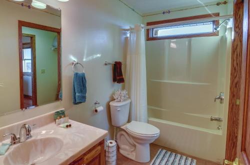 a bathroom with a toilet and a shower and a sink at Byrdstown Apartment Less Than 4 Mi to Dale Hollow Lake! in Frogue