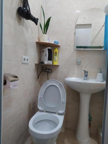 uma casa de banho com um WC e um lavatório em Nana's Apartment em Tbilisi