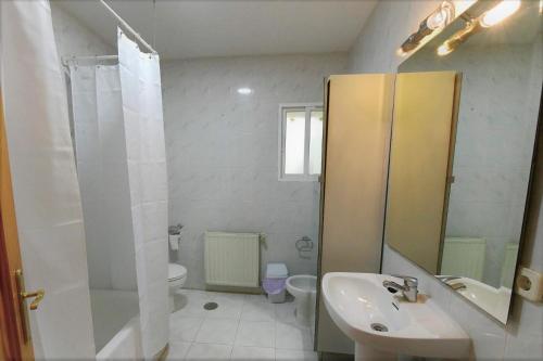 a bathroom with a sink and a toilet and a shower at El Charrancito in El Espinar
