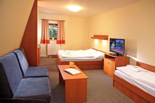 a hotel room with two beds and a couch and a tv at Penzion Čítkův Mlýn in Šluknov