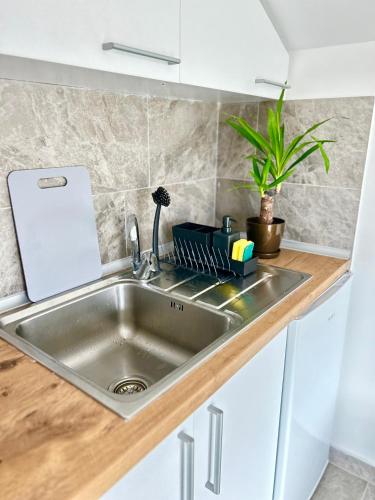 Köök või kööginurk majutusasutuses Apartman Viny