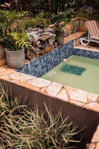 a small pool of water with a chair and plants at Espaço Viverde Penedo in Penedo