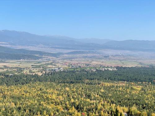 an aerial view of a forest of trees at Pirin Golf Mountain View Retreat in Razlog