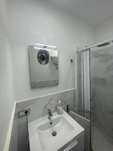 een badkamer met een wastafel, een douche en een spiegel bij Casa vacanze QS 10 in Napels