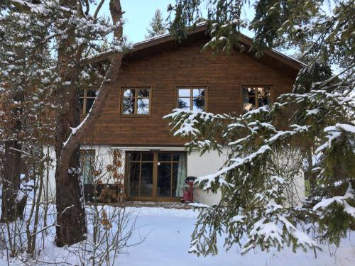 a house in the snow with a fire hydrant in front of it at Chata u Gregora v Slovenskom raji in Smižany