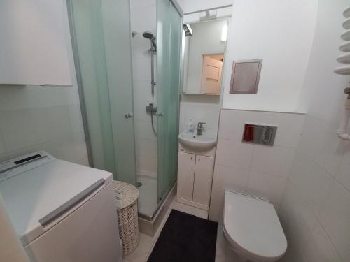 ein Bad mit einem WC, einer Dusche und einem Waschbecken in der Unterkunft Mieszkanie Sobieskiego in Warschau