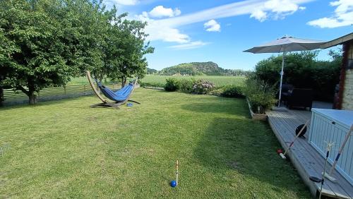 a yard with a hammock in the grass at Mikael's Bed & Spa apartment in Sandefjord