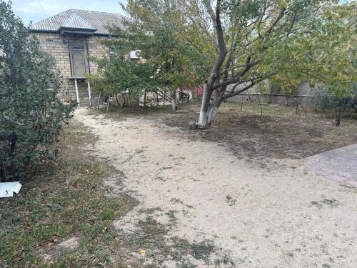 a yard with a tree and a house at Vilage in Sumqayıt