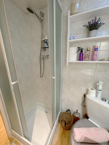 une salle de bain avec douche et toilettes dans l'établissement Duplex cosy bord de Mer, à Saint-Cyr-sur-Mer