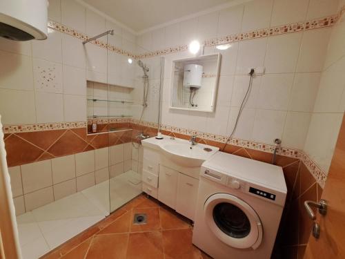 een badkamer met een wasmachine en een wastafel bij Charming Celje City Center Apartment in Celje