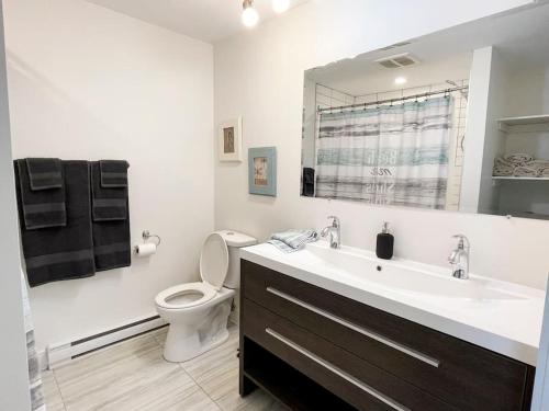 a bathroom with a sink and a toilet and a mirror at Confo28 Chute Montmorency Parking in Quebec City