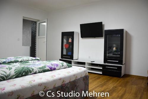 a bedroom with two beds and a flat screen tv at Apartament 2 camere in Ellscheid