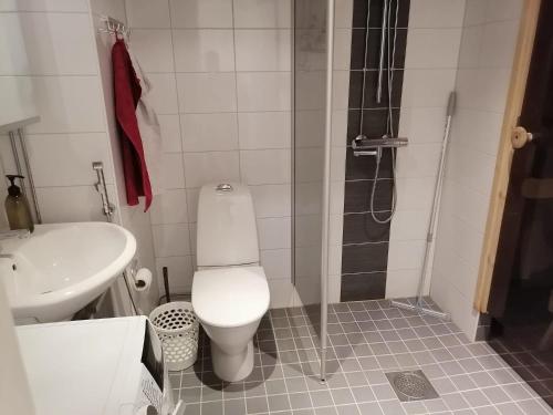 ロヴァニエミにあるKaarnikkarakka Apartmentのバスルーム(トイレ、洗面台、シャワー付)