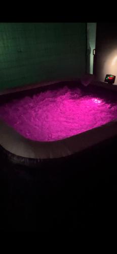 a dark room with a pink rug in a room at IL Sole in Caselle Torinese