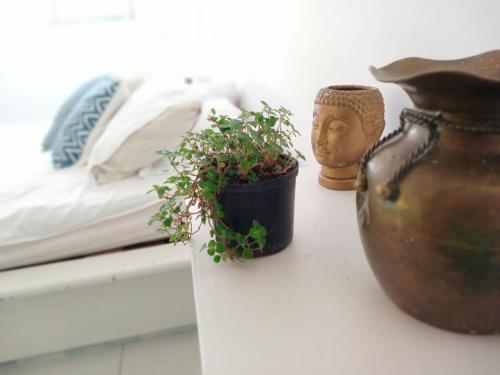 Cama o camas de una habitación en Isla Tortuga - Prado - Deportes Náuticos - Cerca a Bogotá - Cerca a Ibagué