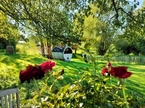 a yard with red flowers in the grass at La Cabane d'Ode in Sainte-Ode