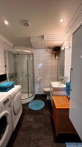 a bathroom with a shower and a washing machine at Face Of North in Gratangen