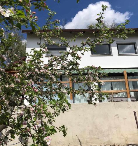 a white building with windows and a tree with pink flowers at Beide Bumpkes in Weitramsdorf