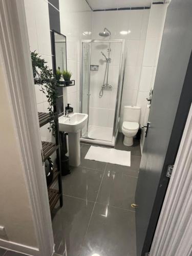 La salle de bains est pourvue d'une douche, de toilettes et d'un lavabo. dans l'établissement Quela’s comfort, à Londres