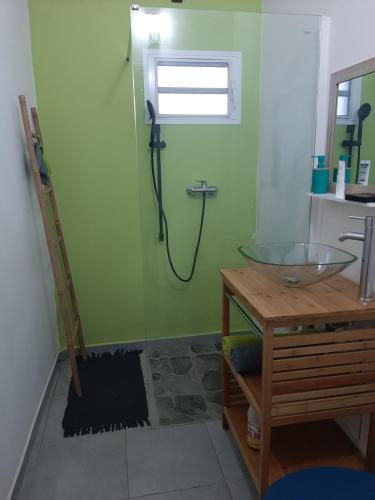 a green bathroom with a shower and a sink at Zaboka delair in Sainte-Anne