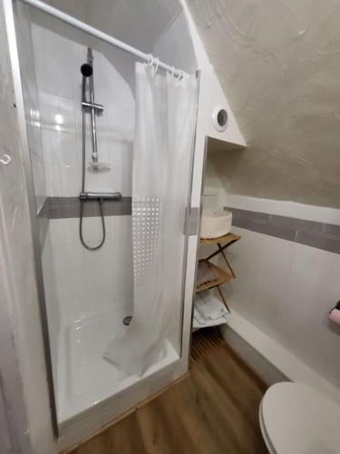 een badkamer met een douche en een toilet. bij Charmant appartement au cœur du quartier St-Pierre in Amiens