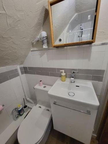 een badkamer met een toilet, een wastafel en een spiegel bij Charmant appartement au cœur du quartier St-Pierre in Amiens